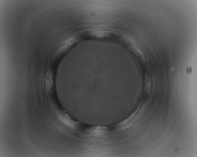 X0000101710128200807241504