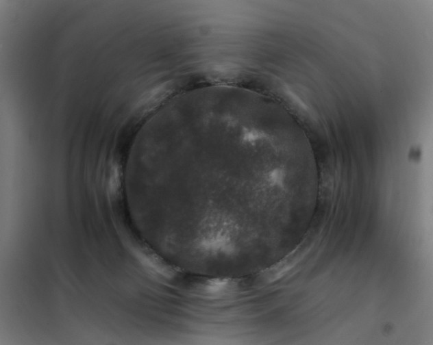 X0000101710130200807241504