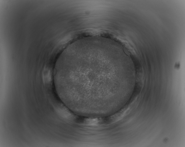 X0000101710131200807241504