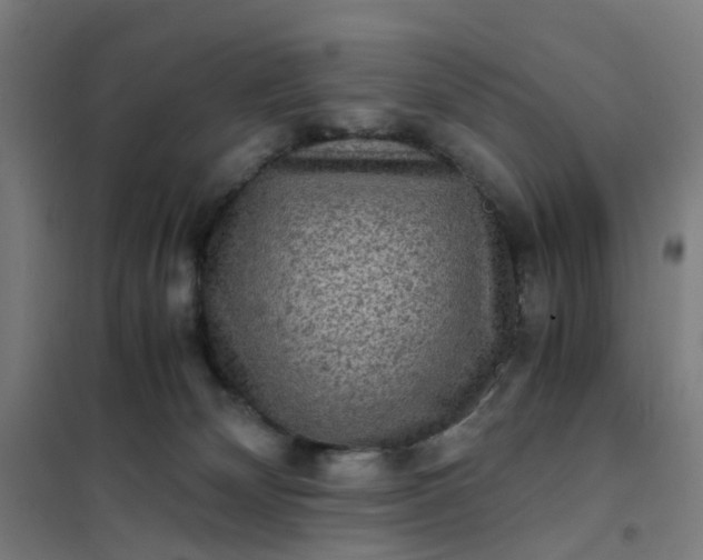 X0000101710132200807241504