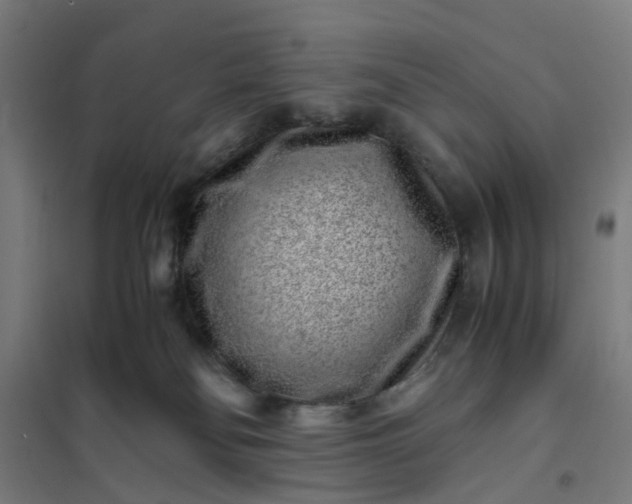 X0000101710134200807241504