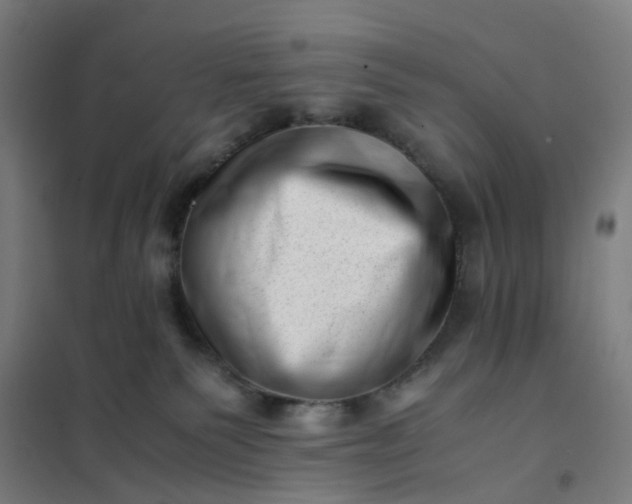 X0000101710135200807241504