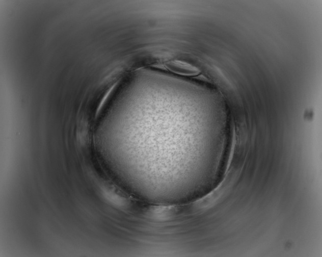 X0000101710136200807241504