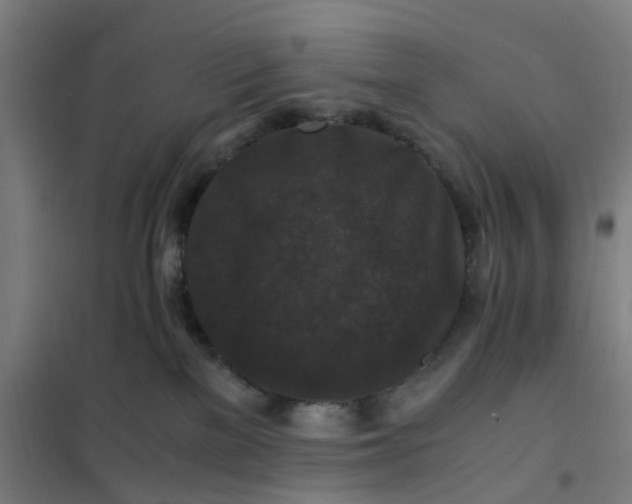 X0000101710137200807241504