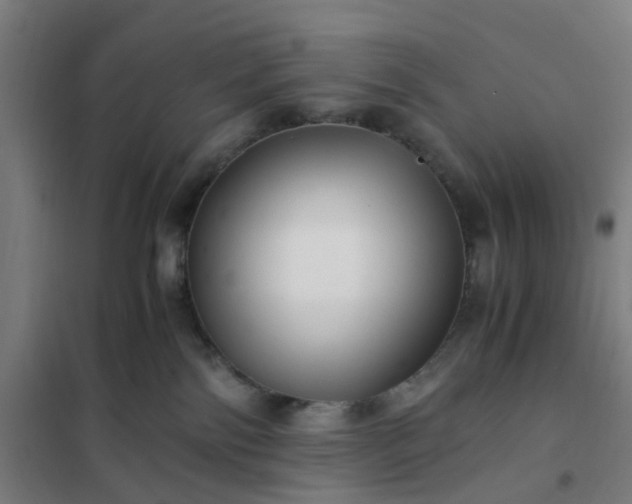 X0000101710138200807241504