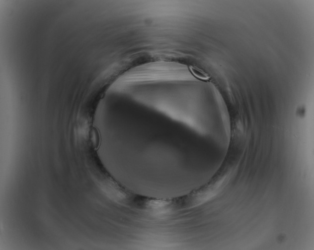 X0000101710139200807241504