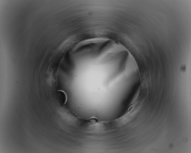 X0000101710140200807241504