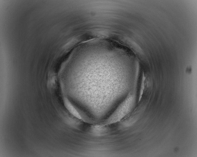 X0000101710141200807241504