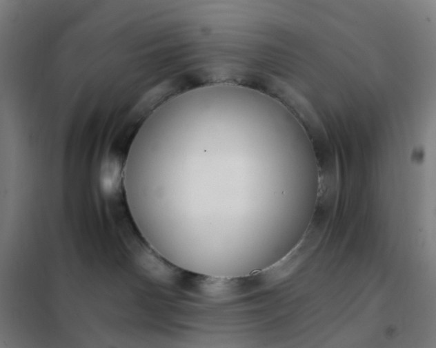 X0000101710142200807241504