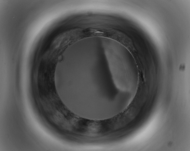 X0000101710143200807241504