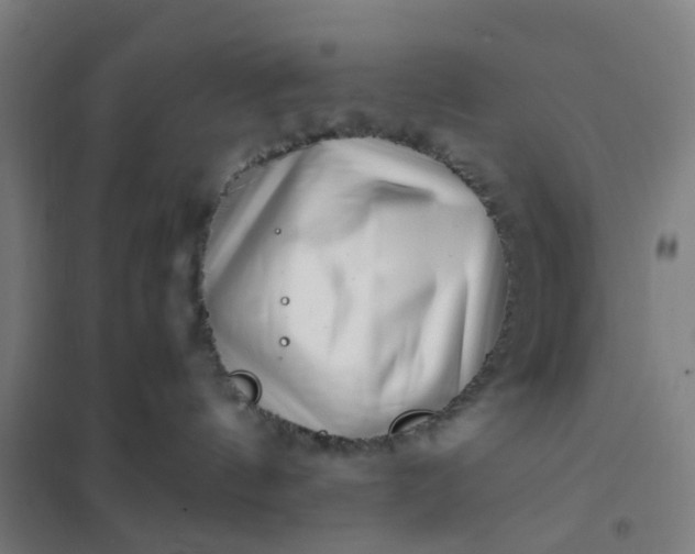 X0000101710144200807241504