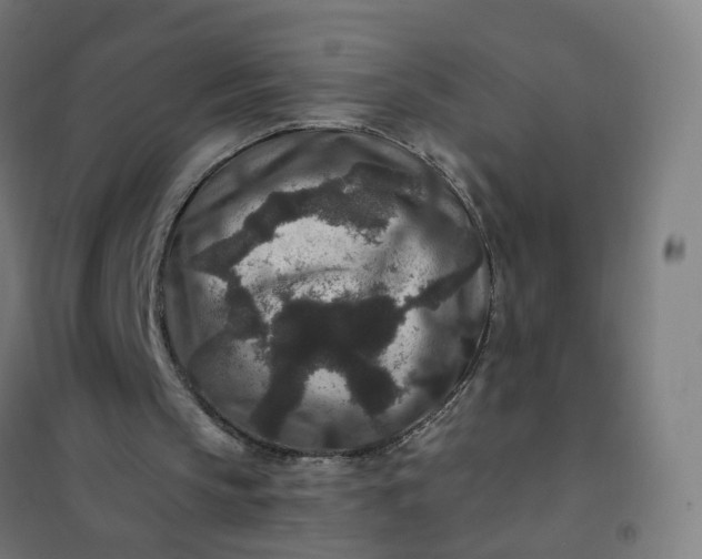 X0000101710145200807241503