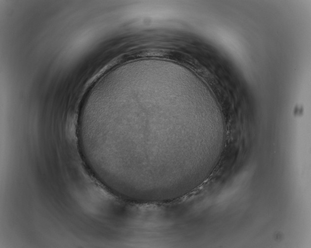 X0000101710146200807241503