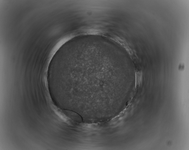 X0000101710147200807241503