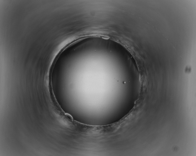 X0000101710148200807241503