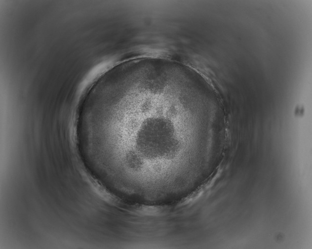 X0000101710149200807241503