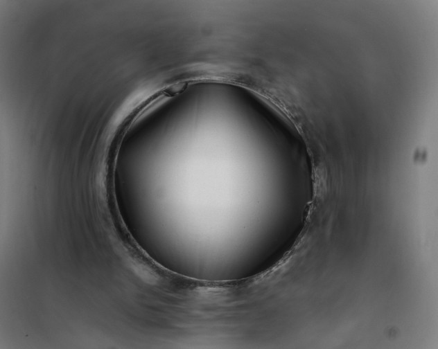 X0000101710150200807241503