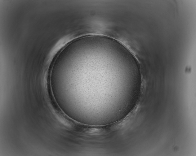 X0000101710151200807241503