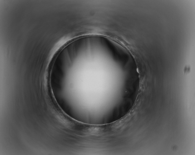 X0000101710152200807241503