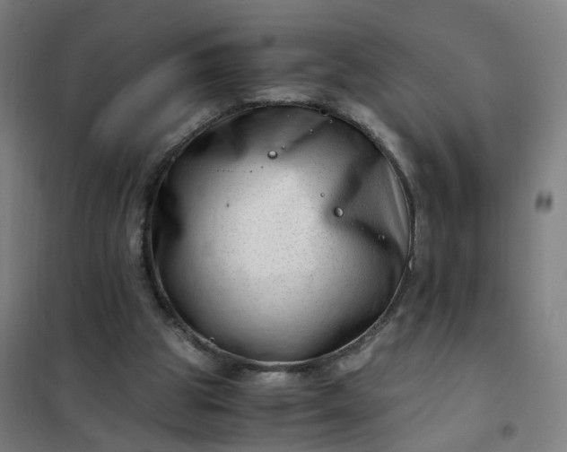 X0000101710153200807241503