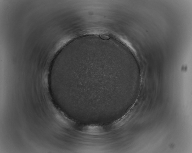 X0000101710154200807241503