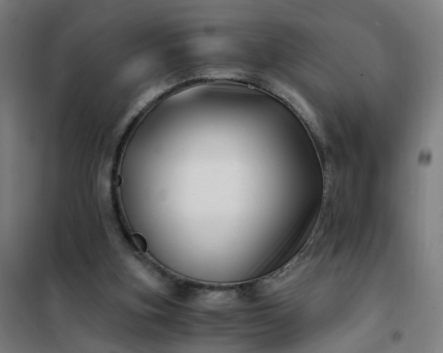 X0000101710155200807241503