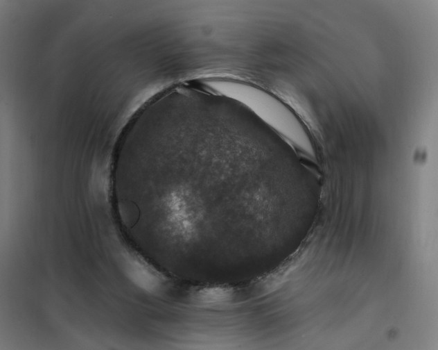 X0000101710156200807241503