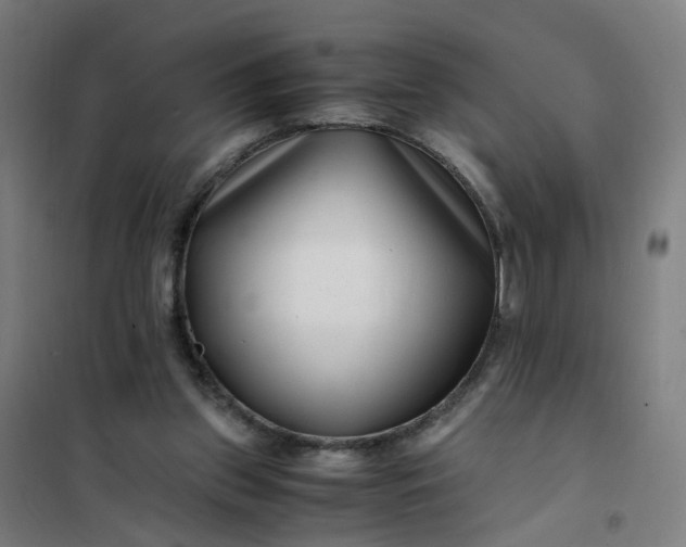 X0000101710157200807241503