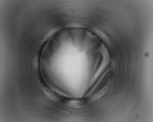 X0000101710158200807241503