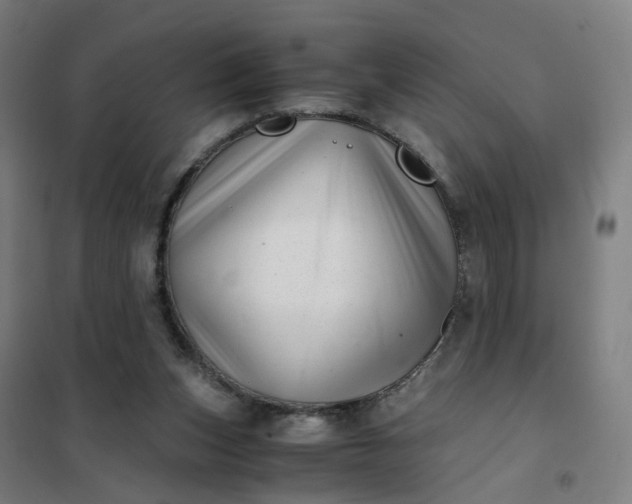 X0000101710159200807241503