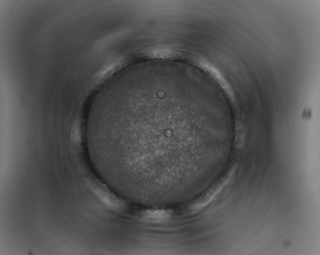 X0000101710161200807241503