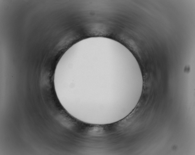 X0000101710162200807241503