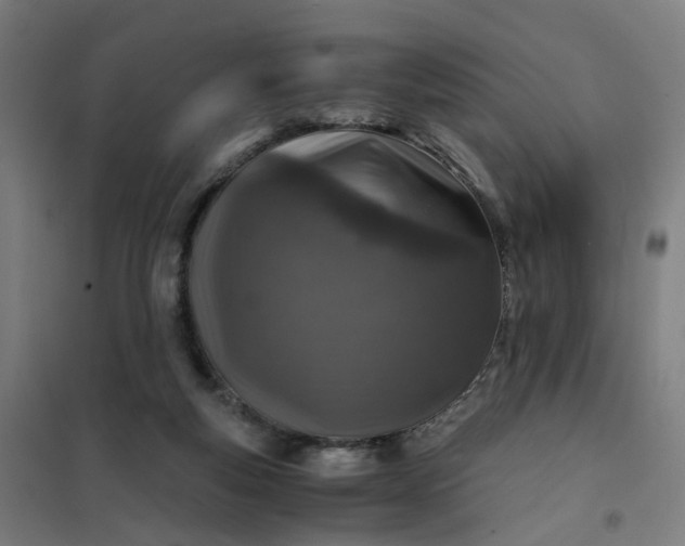 X0000101710163200807241503