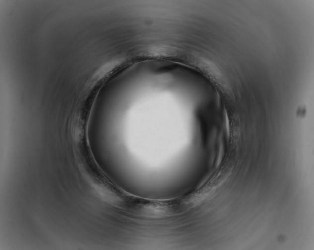 X0000101710164200807241503