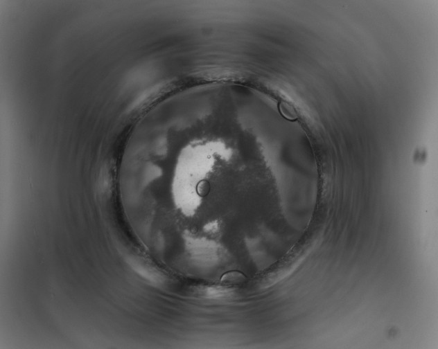 X0000101710165200807241503