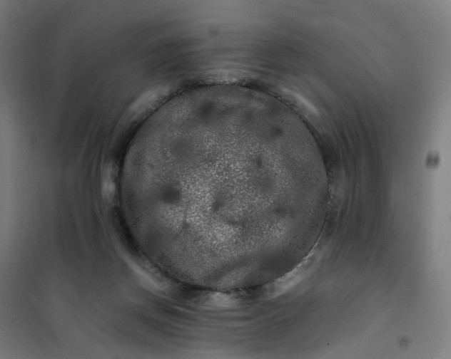 X0000101710166200807241503