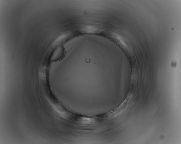 X0000101710167200807241503