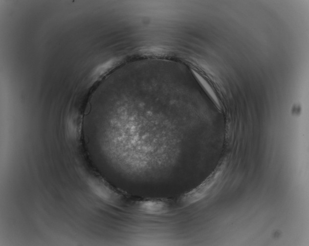 X0000101710168200807241503