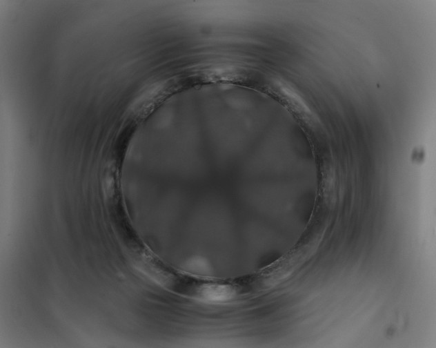 X0000101710169200807241503