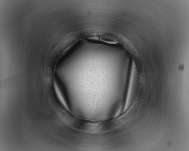 X0000101710170200807241503