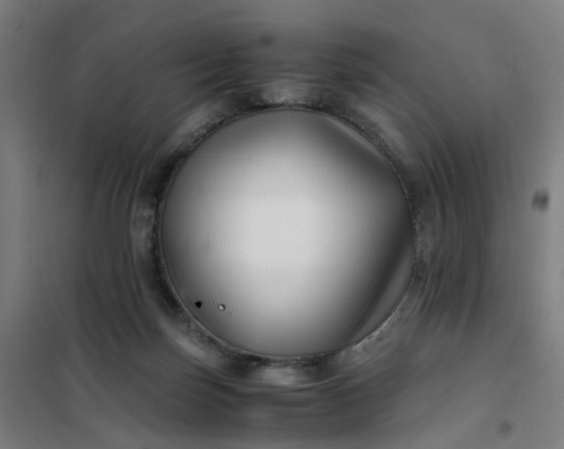 X0000101710171200807241503