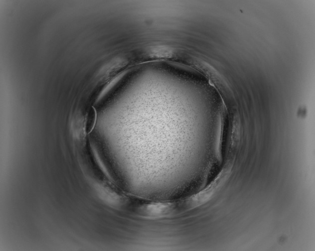 X0000101710172200807241503