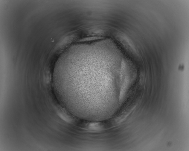 X0000101710173200807241503