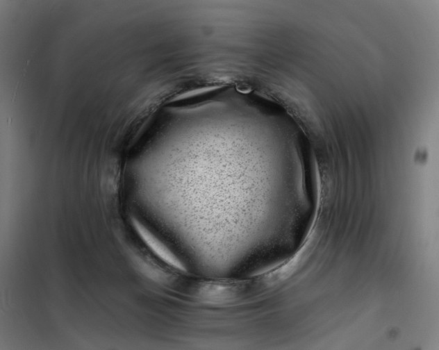 X0000101710174200807241503