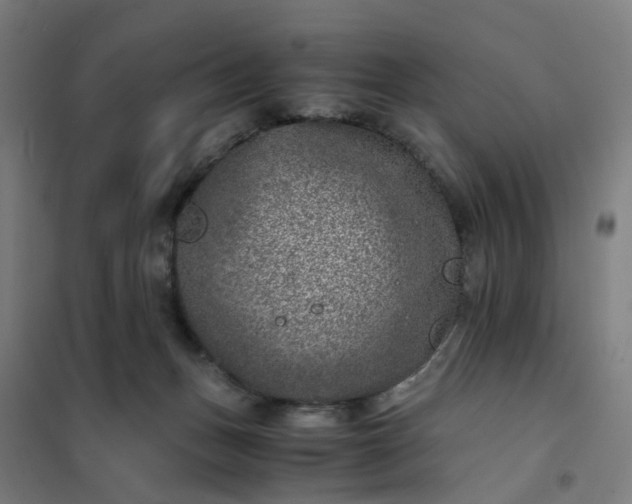 X0000101710175200807241503