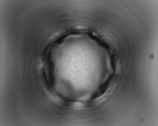 X0000101710176200807241503