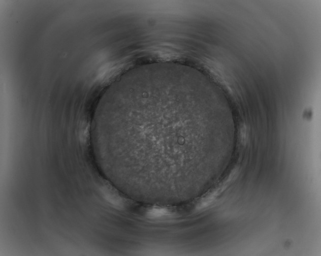 X0000101710177200807241503