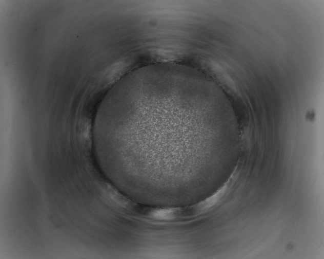 X0000101710178200807241503