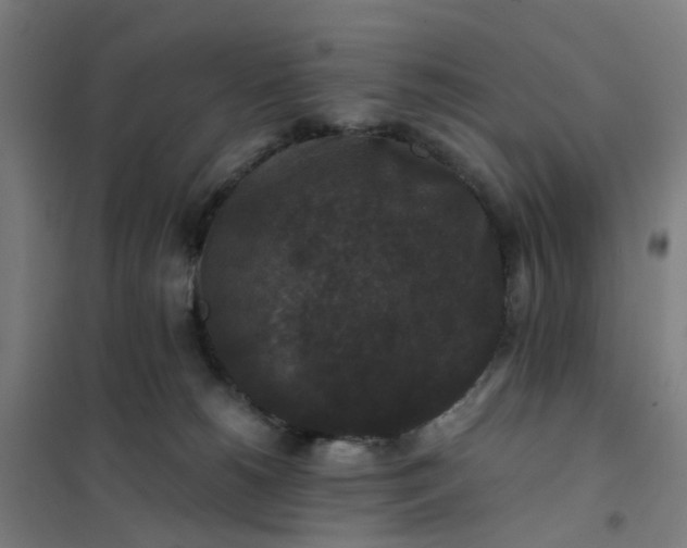 X0000101710180200807241504