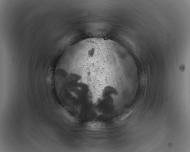 X0000101710181200807241504